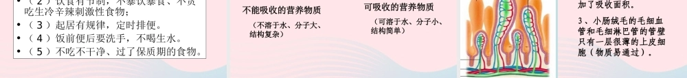 三年级科学上册 第一单元 生活中的食物 第6课《食物的消化》课件（2） 鄂教版-鄂教版小学三年级上册自然科学课件