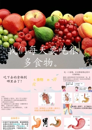 三年级科学上册 第一单元 生活中的食物 第6课《食物的消化》课件（2） 鄂教版-鄂教版小学三年级上册自然科学课件