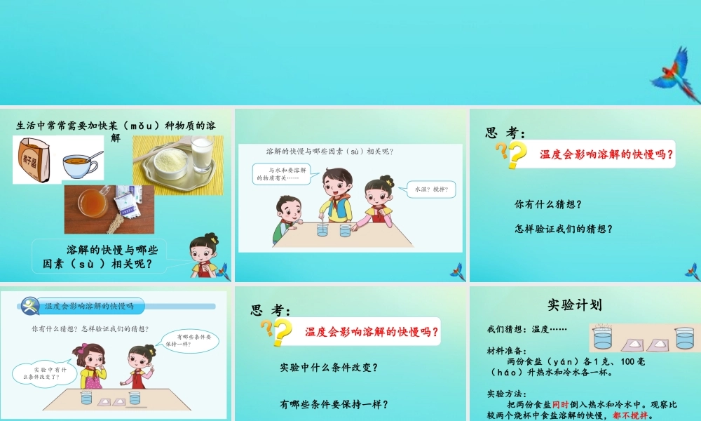 三年级科学下册 第一单元 控制溶解 1.1 能加快溶解吗课件 （新版）湘科版-人教版小学三年级下册自然科学课件