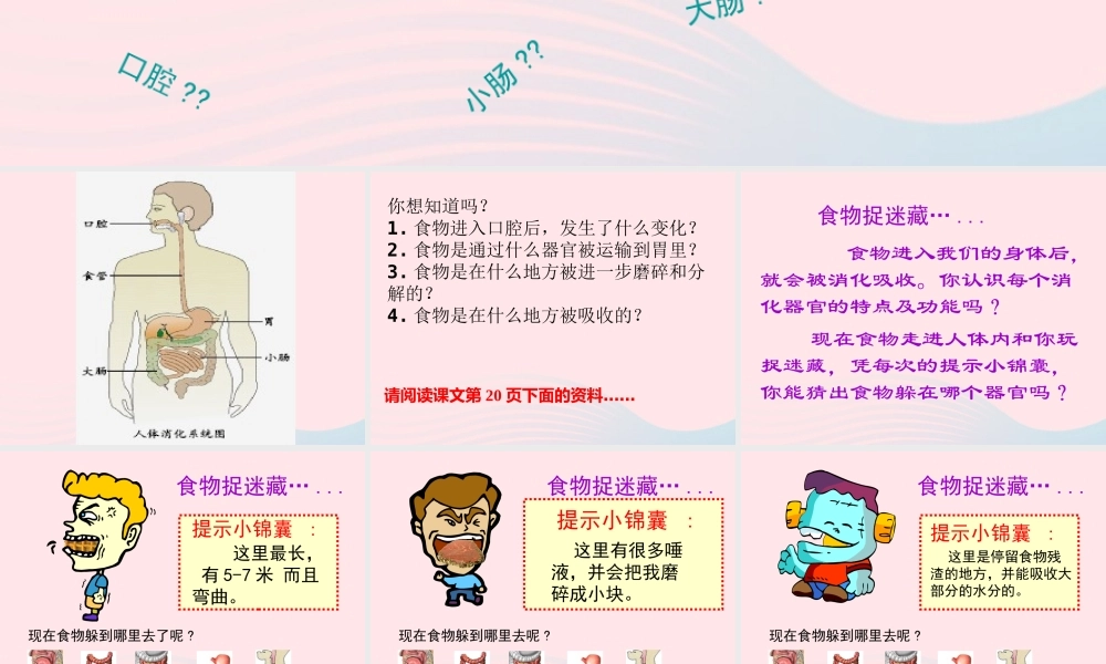 三年级科学上册 第一单元 生活中的食物 第6课《食物的消化》课件（3） 鄂教版-鄂教版小学三年级上册自然科学课件