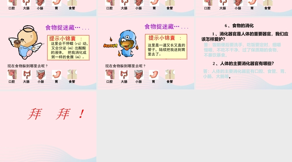 三年级科学上册 第一单元 生活中的食物 第6课《食物的消化》课件（3） 鄂教版-鄂教版小学三年级上册自然科学课件