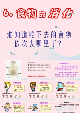 三年级科学上册 第一单元 生活中的食物 第6课《食物的消化》课件（3） 鄂教版-鄂教版小学三年级上册自然科学课件