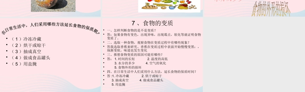 三年级科学上册 第一单元 生活中的食物 第7课《食物的变质》课件（1） 鄂教版-鄂教版小学三年级上册自然科学课件