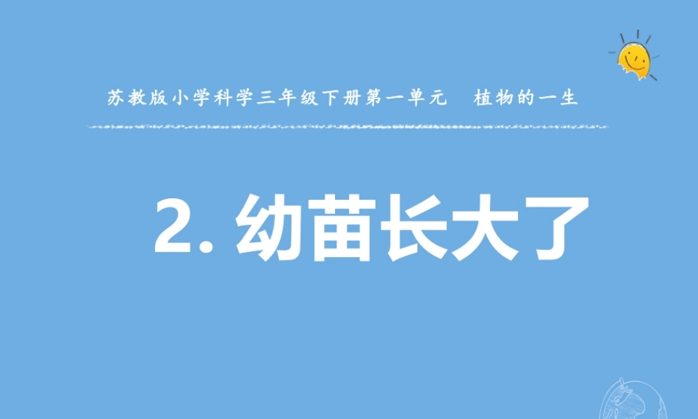 三年级科学下册 第一单元 植物的一生 2 幼苗长大了课件 苏教版-苏教版小学三年级下册自然科学课件