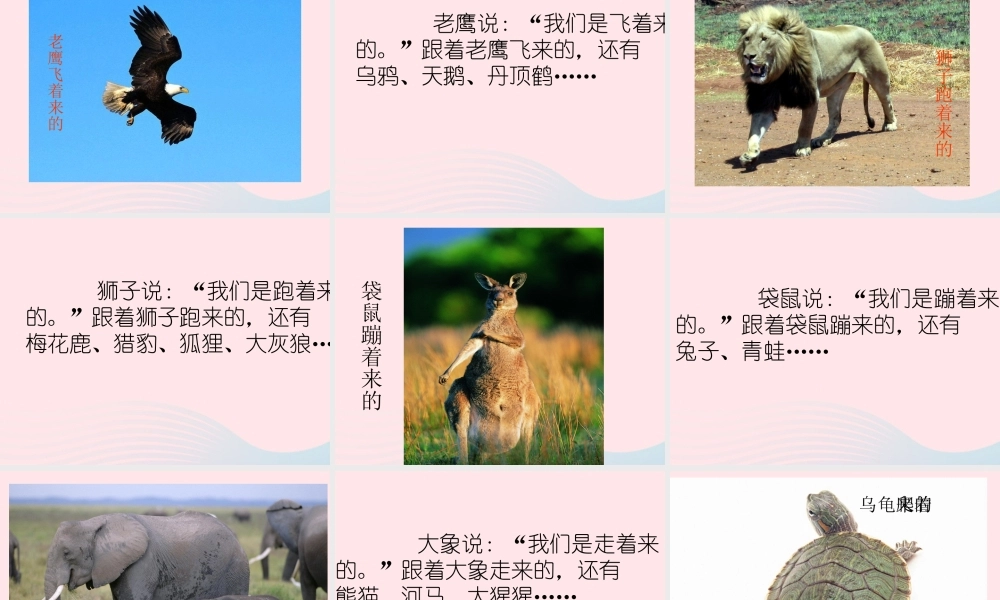 一年级语文下册 课文5 第22课《虎大王开会》课件2 湘教版-湘教版小学一年级下册语文课件