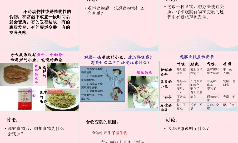三年级科学上册 第一单元 生活中的食物 第7课《食物的变质》课件（2） 鄂教版-鄂教版小学三年级上册自然科学课件