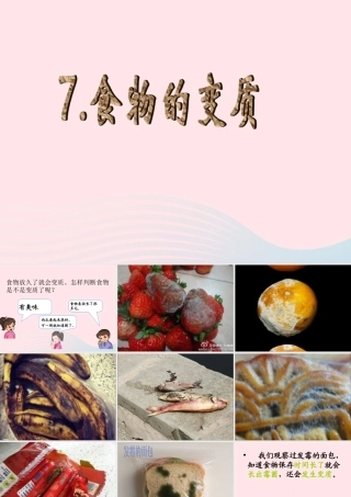 三年级科学上册 第一单元 生活中的食物 第7课《食物的变质》课件（2） 鄂教版-鄂教版小学三年级上册自然科学课件