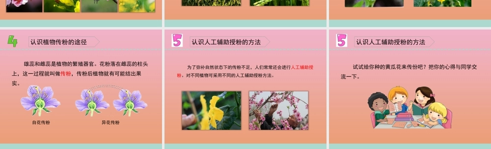 三年级科学下册 第一单元 植物的一生 3 植物开花了课件1 苏教版-苏教版小学三年级下册自然科学课件