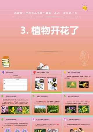 三年级科学下册 第一单元 植物的一生 3 植物开花了课件1 苏教版-苏教版小学三年级下册自然科学课件