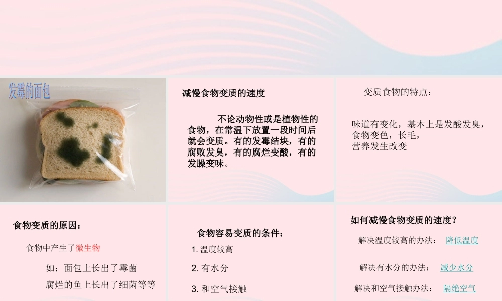 三年级科学上册 第一单元 生活中的食物 第7课《食物的变质》课件（3） 鄂教版-鄂教版小学三年级上册自然科学课件