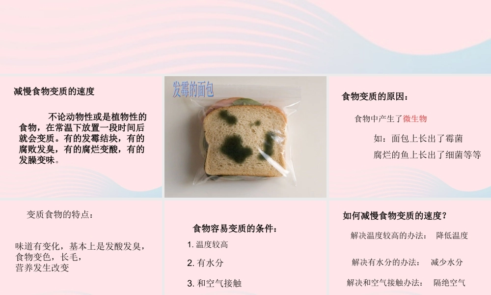三年级科学上册 第一单元 生活中的食物 第7课《食物的变质》课件（4） 鄂教版-鄂教版小学三年级上册自然科学课件