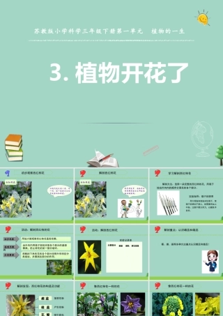 三年级科学下册 第一单元 植物的一生 3 植物开花了课件3 苏教版-苏教版小学三年级下册自然科学课件