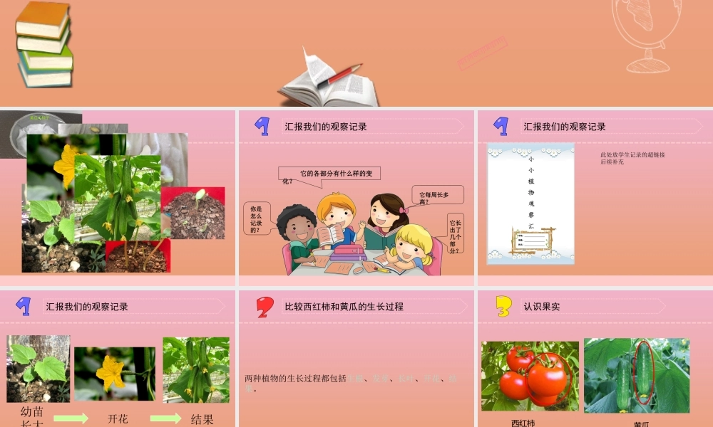 三年级科学下册 第一单元 植物的一生 4 植物结果了课件1 苏教版-苏教版小学三年级下册自然科学课件