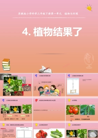 三年级科学下册 第一单元 植物的一生 4 植物结果了课件1 苏教版-苏教版小学三年级下册自然科学课件