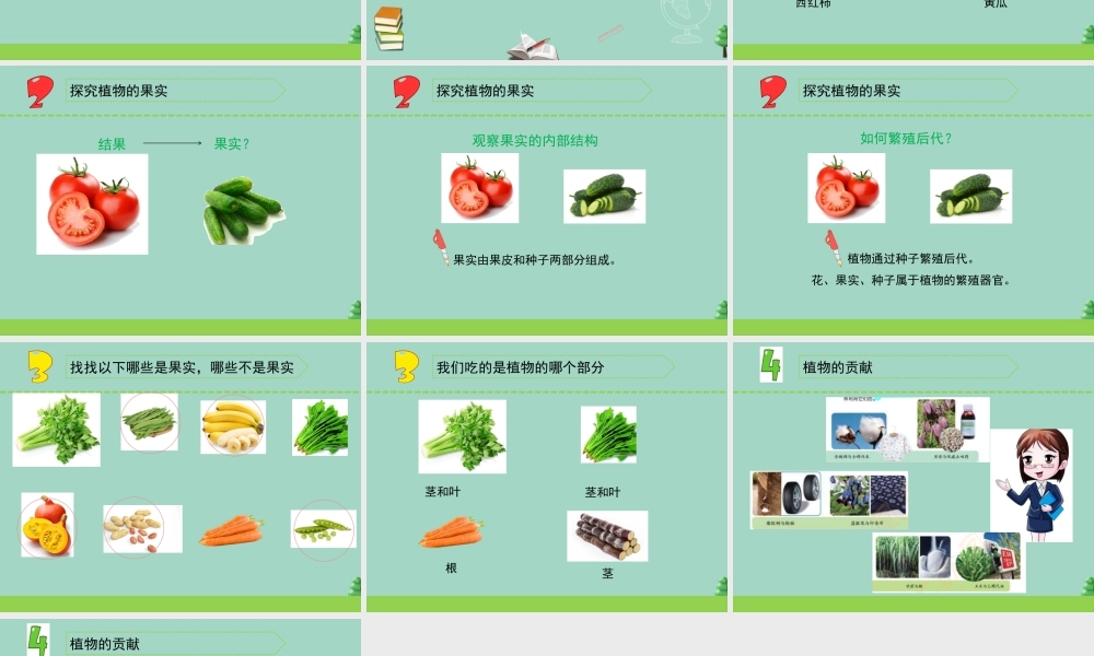 三年级科学下册 第一单元 植物的一生 4 植物结果了课件2 苏教版-苏教版小学三年级下册自然科学课件