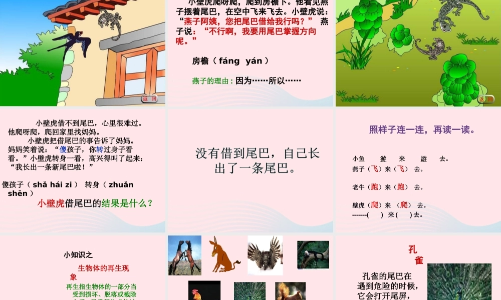 一年级语文下册 课文6 21《小壁虎借尾巴》课件 新人教版-新人教版小学一年级下册语文课件