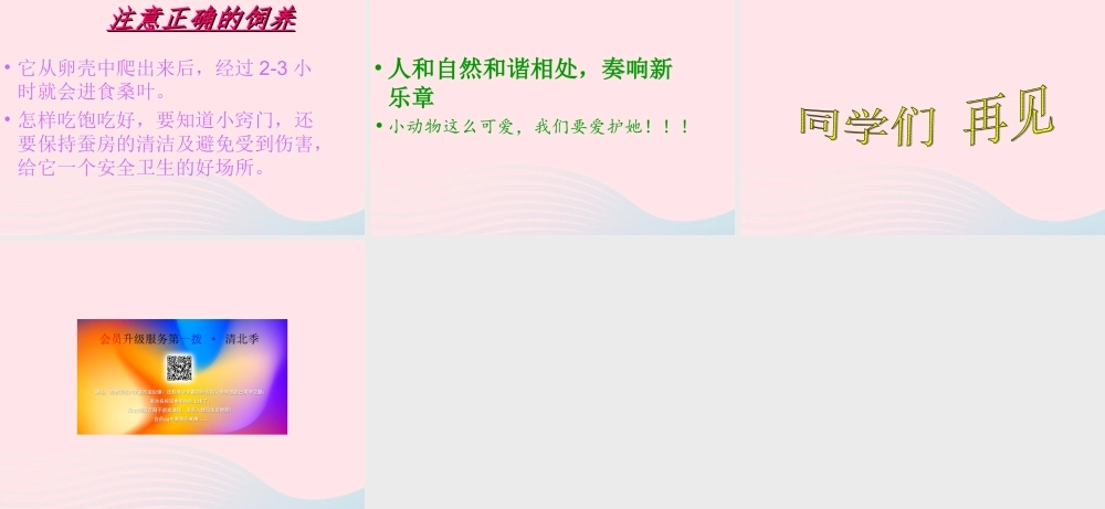 三年级科学下册 动物的生命周期 1 蚕卵里孵出的新生命课件 教科版-教科版小学三年级下册自然科学课件