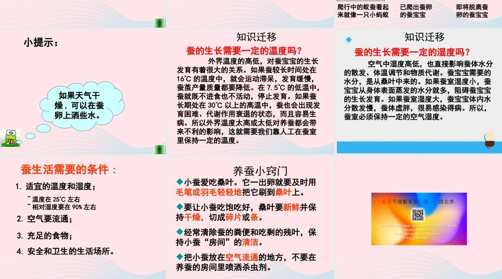 三年级科学下册 动物的生命周期 1 蚕卵里孵出的新生命课件1 教科版-教科版小学三年级下册自然科学课件