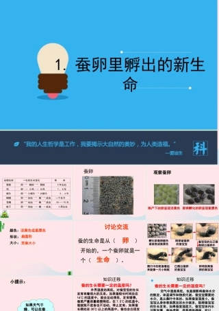 三年级科学下册 动物的生命周期 1 蚕卵里孵出的新生命课件1 教科版-教科版小学三年级下册自然科学课件