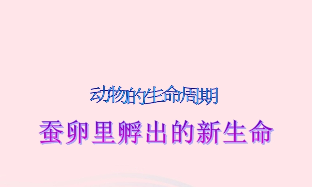 三年级科学下册 动物的生命周期 1 蚕卵里孵出的新生命课件2 教科版-教科版小学三年级下册自然科学课件