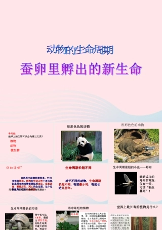 三年级科学下册 动物的生命周期 1 蚕卵里孵出的新生命课件2 教科版-教科版小学三年级下册自然科学课件