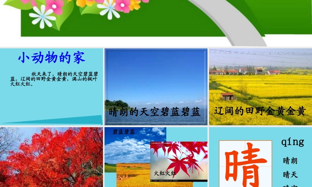 三年级科学上册 动物的家课件1 新人教版-新人教版小学三年级上册自然科学课件