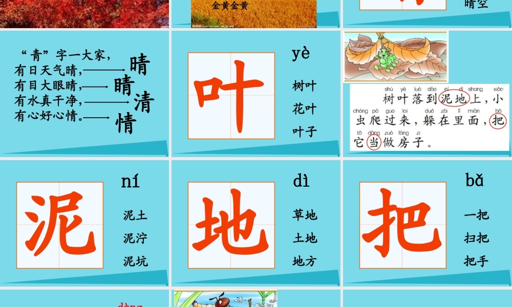 三年级科学上册 动物的家课件1 新人教版-新人教版小学三年级上册自然科学课件