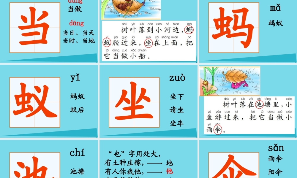 三年级科学上册 动物的家课件1 新人教版-新人教版小学三年级上册自然科学课件