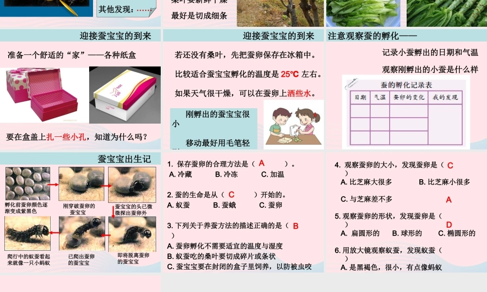 三年级科学下册 动物的生命周期 1 蚕卵里孵出的新生命课件3 教科版-教科版小学三年级下册自然科学课件