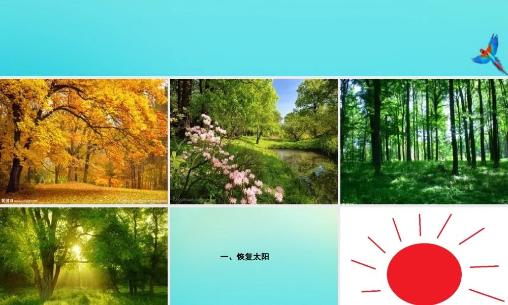 三年级信息技术下册 第5课 描绘美丽的大自然课件 川教版-川教版小学三年级下册信息技术课件