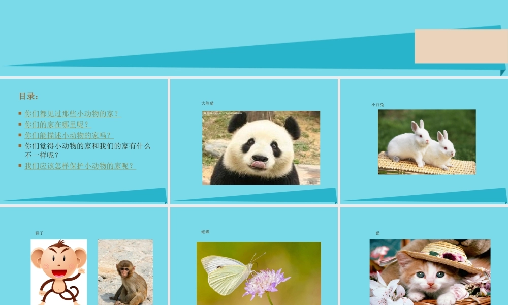 三年级科学上册 动物的家课件2 新人教版-新人教版小学三年级上册自然科学课件