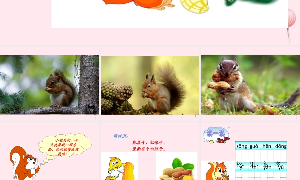 一年级语文下册 课文6 第21课《小松鼠找花生果》课件 苏教版-苏教版小学一年级下册语文课件
