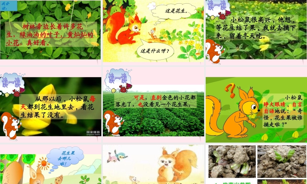 一年级语文下册 课文6 第21课《小松鼠找花生果》课件 苏教版-苏教版小学一年级下册语文课件