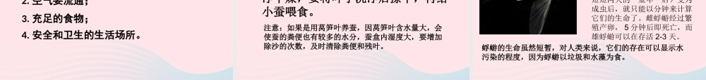 三年级科学下册 动物的生命周期 1 蚕卵里孵出的新生命课件4 教科版-教科版小学三年级下册自然科学课件