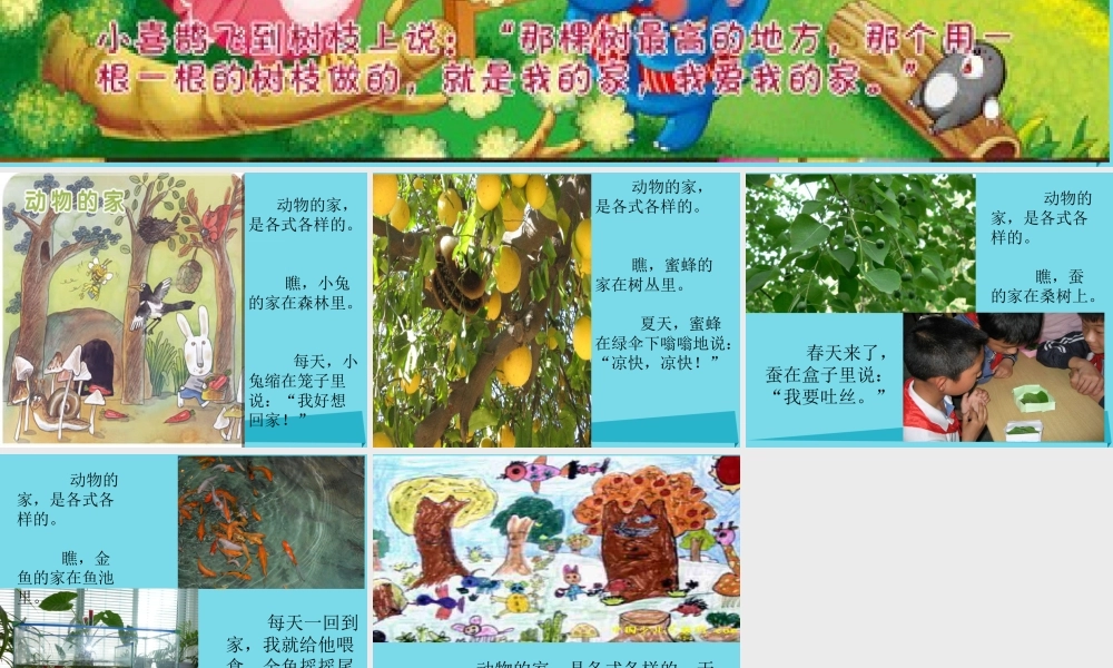 三年级科学上册 动物的家课件3 新人教版-新人教版小学三年级上册自然科学课件