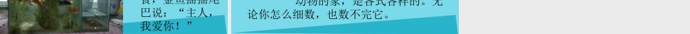 三年级科学上册 动物的家课件3 新人教版-新人教版小学三年级上册自然科学课件