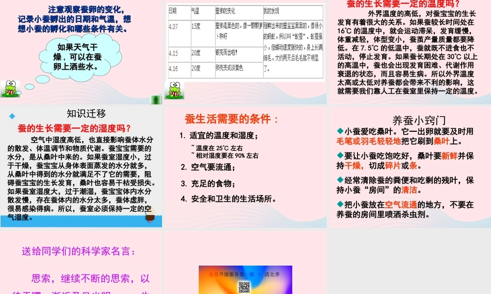 三年级科学下册 动物的生命周期 1 蚕卵里孵出的新生命课件5 教科版-教科版小学三年级下册自然科学课件