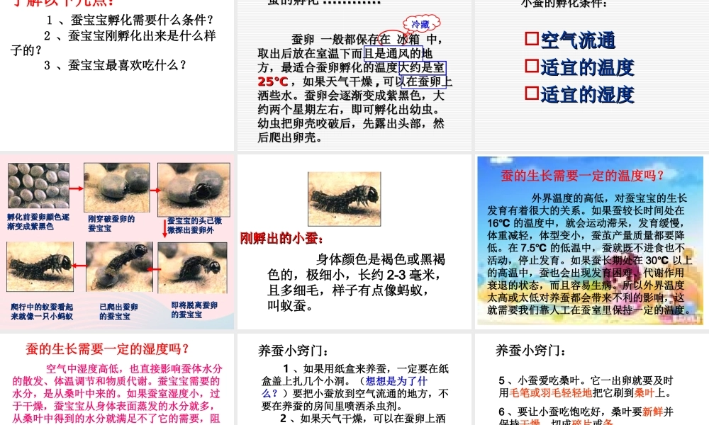 三年级科学下册 动物的生命周期 1《蚕卵里孵出的新生命》课件1 教科版-教科版小学三年级下册自然科学课件