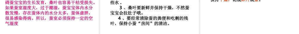 三年级科学下册 动物的生命周期 1《蚕卵里孵出的新生命》课件1 教科版-教科版小学三年级下册自然科学课件