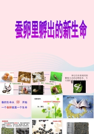 三年级科学下册 动物的生命周期 1《蚕卵里孵出的新生命》课件1 教科版-教科版小学三年级下册自然科学课件