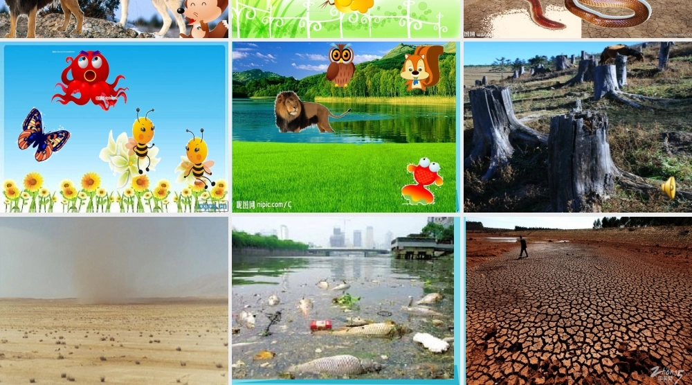 三年级科学上册 动物的家课件5 新人教版-新人教版小学三年级上册自然科学课件