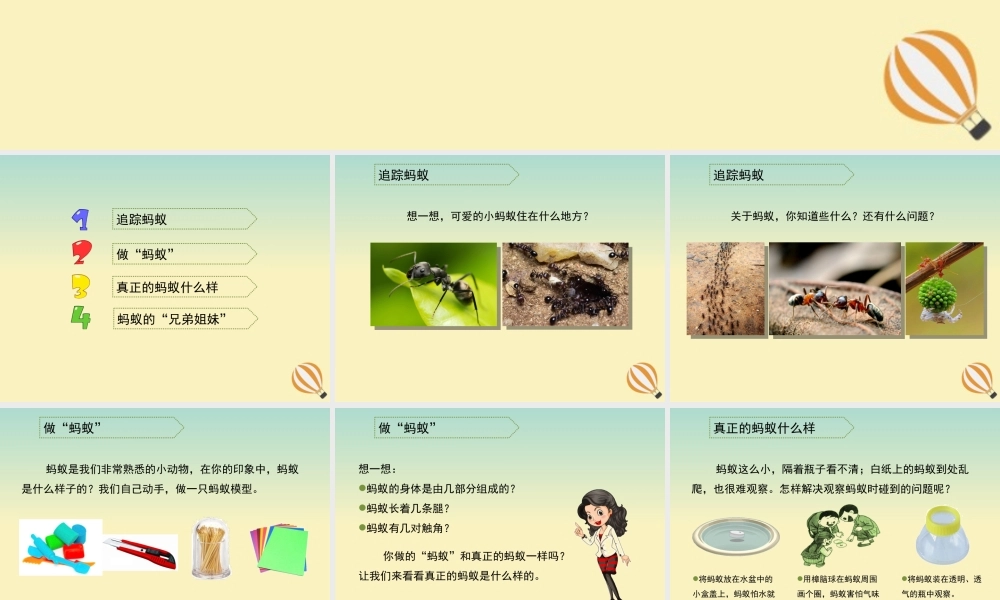 三年级科学上册 第四单元 有趣的动物 1 《寻访蚂蚁》教学课件 大象版-大象版小学三年级上册自然科学课件