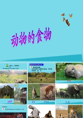 三年级科学上册 动物的食物课件1 新人教版-新人教版小学三年级上册自然科学课件