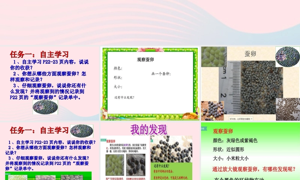 三年级科学下册 动物的生命周期 1《蚕卵里孵出的新生命》课件2 教科版-教科版小学三年级下册自然科学课件