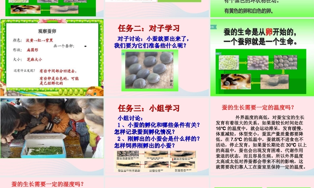 三年级科学下册 动物的生命周期 1《蚕卵里孵出的新生命》课件2 教科版-教科版小学三年级下册自然科学课件