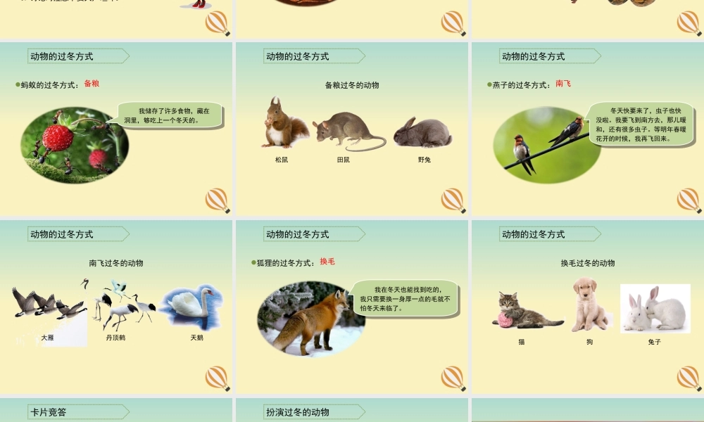 三年级科学上册 第四单元 有趣的动物 2 《动物怎样过冬》教学课件 大象版-大象版小学三年级上册自然科学课件