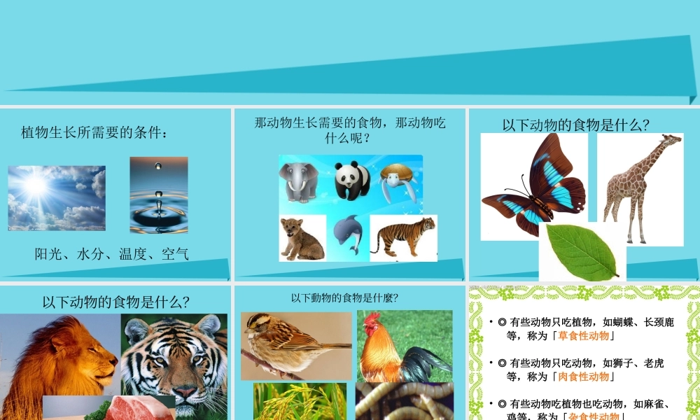 三年级科学上册 动物的食物课件2 新人教版-新人教版小学三年级上册自然科学课件