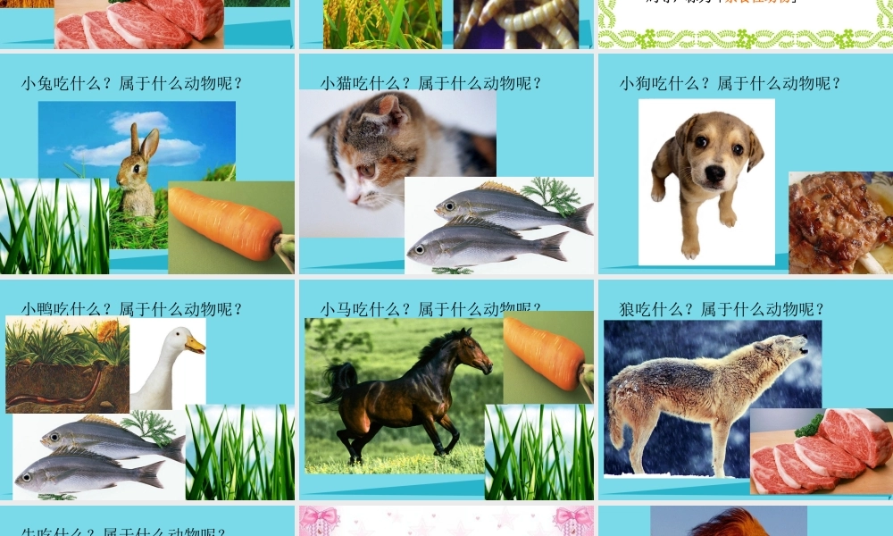 三年级科学上册 动物的食物课件2 新人教版-新人教版小学三年级上册自然科学课件