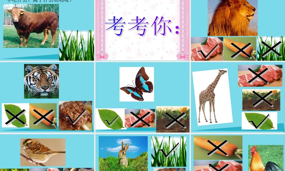 三年级科学上册 动物的食物课件2 新人教版-新人教版小学三年级上册自然科学课件