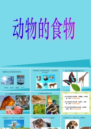 三年级科学上册 动物的食物课件2 新人教版-新人教版小学三年级上册自然科学课件